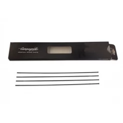 Campagnolo® Radios Campagnolo Scirocco 35 Delantero